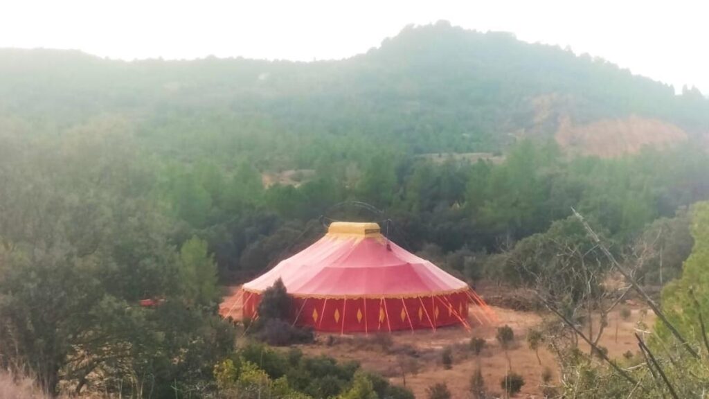 MALAIKA CIRCO